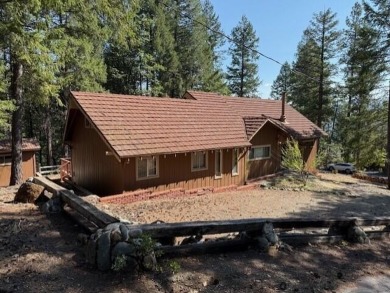 Trinity Lake / Clair Engle Lake Home For Sale in Trinity Center California