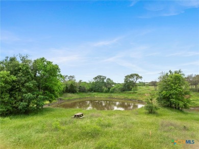 Lake Acreage For Sale in Cedar Creek, Texas