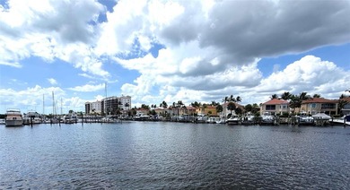 THE LISTING PRICE HAS BEEN RECENTLY REDUCED BY A LARGE AMOUNT - photo 38