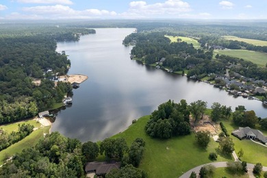 Welcome to this beautiful Canebrake garden home featuring a - photo 44