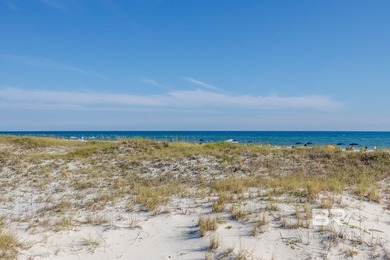 UPDATED WITH AMAZING VIEW two-bedroom, two-bath Gulf-view condo - photo 48