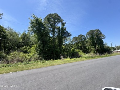 Large lot located in Holly Ridge. Great potential for - photo 3