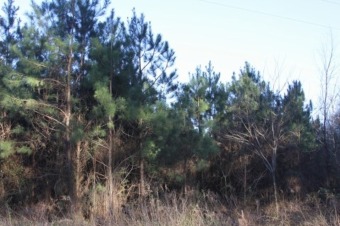 Lake Acreage For Sale in Burkeville, Texas