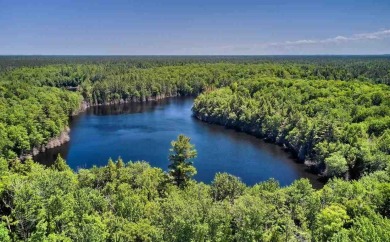 Sister Lake Acreage For Sale in Wetmore Michigan