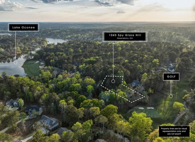 This charming golf course home in Lake Oconee's Harbor Club - photo 3