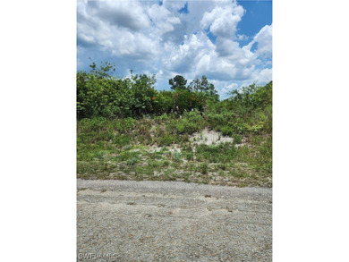 Lehigh Acres Area Lot For Sale in Lehigh Acres Florida