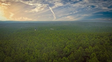Lake Acreage For Sale in Broken Bow, Oklahoma