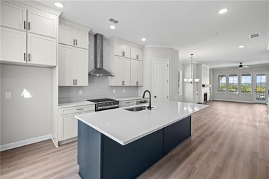 Welcome to The Village! A brand new luxury Townhome Neighborhood - photo 6
