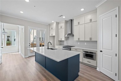 Welcome to The Village! A brand new luxury Townhome Neighborhood - photo 7