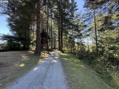 An Enchanted Forest Retreat on 2.88 Acres! Escape to your own - photo 37