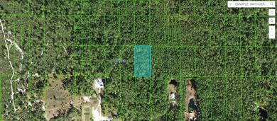 Lake Kissimmee Lot For Sale in Lake Wales Florida