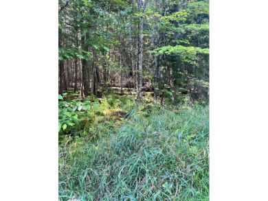 Lake Lot For Sale in Saint Albans, Maine