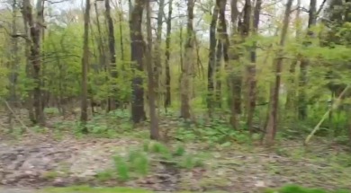 Pymatuning Reservoir Lot For Sale in Shenango-Cra Pennsylvania