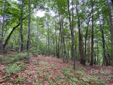 Lake Lure Lot For Sale in Rutherfordton North Carolina