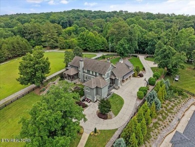 A rare Farragut offering of total lakefront luxury, this - photo 56