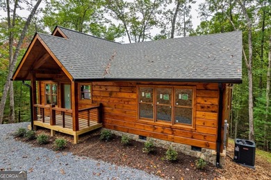 (private lake, pond, coastal) Home For Sale in Cherry Log Georgia