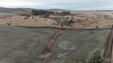 Perched upon the Nez Perce Prairie within the Palouse region of - photo 10