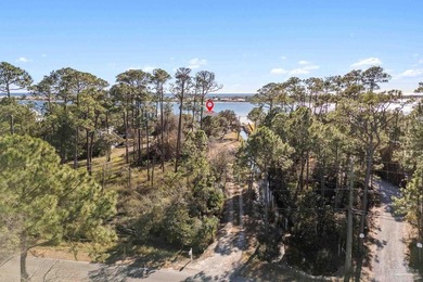 Rare is an understatement. This is a 1.33-acre coastal sanctuary - photo 39