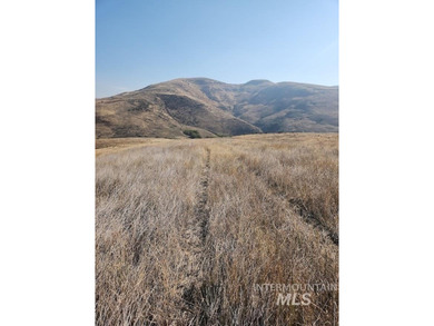 (private lake, pond, creek) Acreage For Sale in Ola Idaho