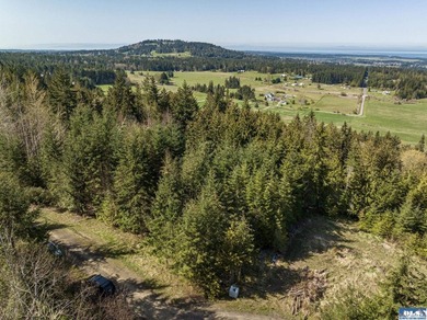 Lots of trees and privacy, in this gated community! Remove some - photo 7