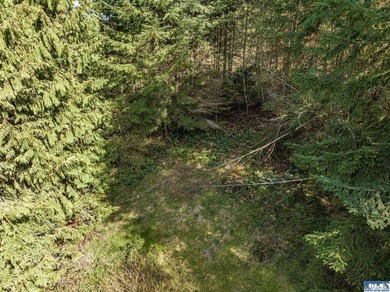 Lots of trees and privacy, in this gated community! Remove some - photo 8