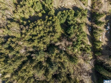 Lots of trees and privacy, in this gated community! Remove some - photo 10