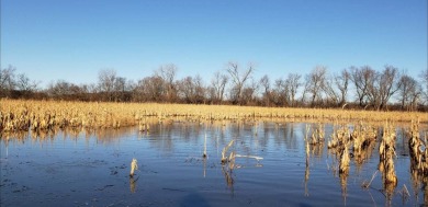 Lake Acreage For Sale in Fillmore, Missouri