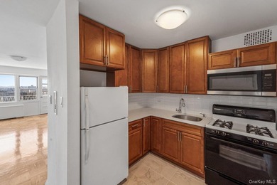 Move-in ready one bedroom Co-op at Premier House in the heart of - photo 7