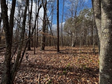 Lake Lot For Sale in Brookneal, Virginia