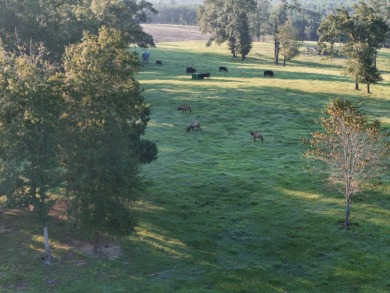 Property Description For over 40 years, Heritage Ridge has been - photo 7