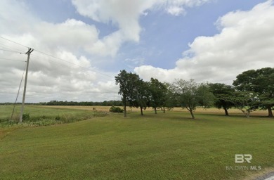 Land located directly on Foley Beach Express, Baldwin County - photo 3