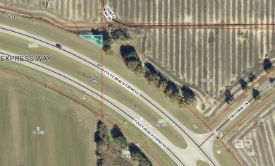 Land located directly on Foley Beach Express, Baldwin County - photo 4