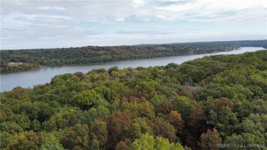 Lake of the Ozarks Acreage For Sale in Edwards Missouri