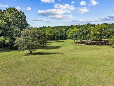 RARE CHANCE TO OWN OVER 10 ACRES OF LAKEFRONT PROPERTY ON THE - photo 9