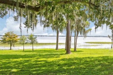 Lake Lot Sale Pending in Windermere, Florida