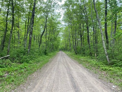Lac Courte Oreilles Lot For Sale in Hayward Wisconsin
