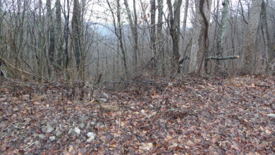 Mixture terrain, 5+ ac surveyed - photo 3
