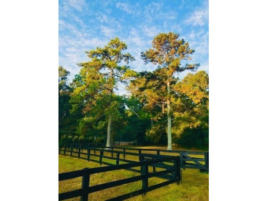 Discover a rare opportunity to own 5.15 private acres in the - photo 8