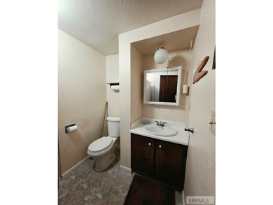 Nestled on a beautifully landscaped 0.45-acre lot in Shelley - photo 17