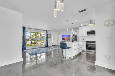 Stunning Coastal Contemporary with Sailboat Access | Punta Gorda - photo 9