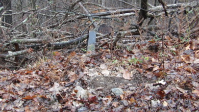 Mixture terrain, 5+ ac surveyed - photo 8