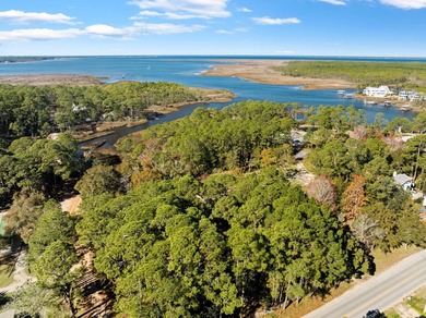 Nestled in the heart of Santa Rosa Beach, this exceptional - photo 7