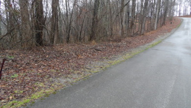 Mixture terrain, 5+ ac surveyed - photo 2