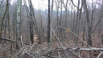 Mixture terrain, 5+ ac surveyed - photo 6