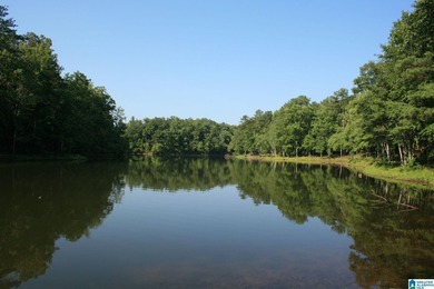 ONE OF A KIND DOUBLE GATED NEIGHBORHOOD OF 20 ACRE UP TO TO 72 - photo 1