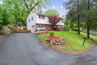 Lake Home For Sale in Green Twp., New Jersey