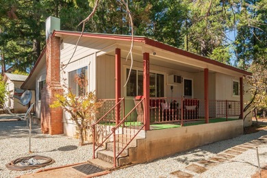 Trinity Lake / Clair Engle Lake Home For Sale in Trinity Center California