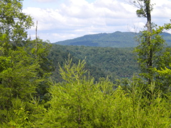 Dale Hollow Lake Lot For Sale in Monroe Tennessee