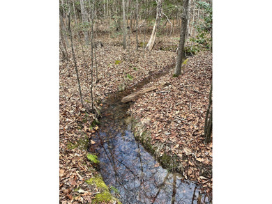 Looking for quiet seclusion near Kerr Lake? This 21 acre wooded - photo 4