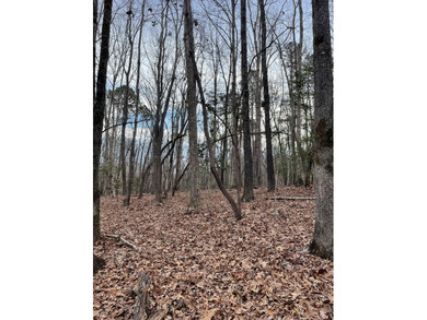 Looking for quiet seclusion near Kerr Lake? This 21 acre wooded - photo 6